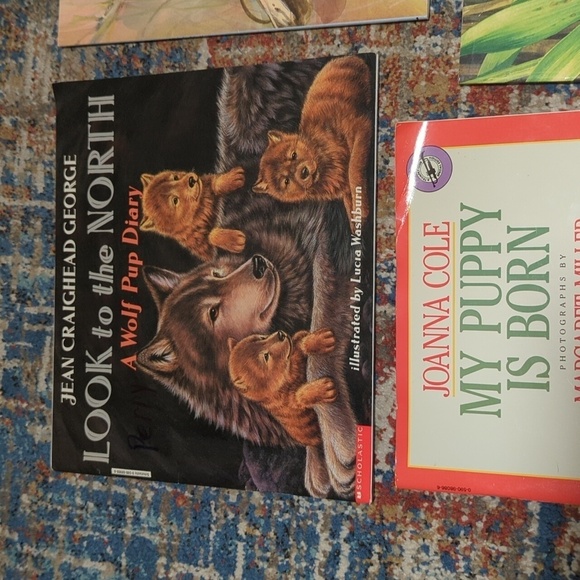 Scholastic Non Fiction Book Set of 5 PB Books Baby Animals My Puppy is Born - Picture 5 of 10